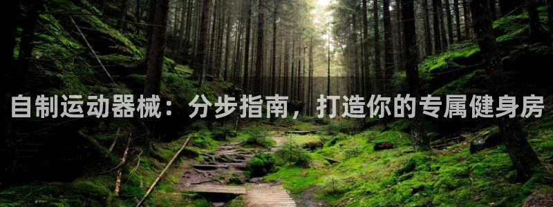 凯时尊龙官网网址：自制运动器械：分步指南，打造你的专