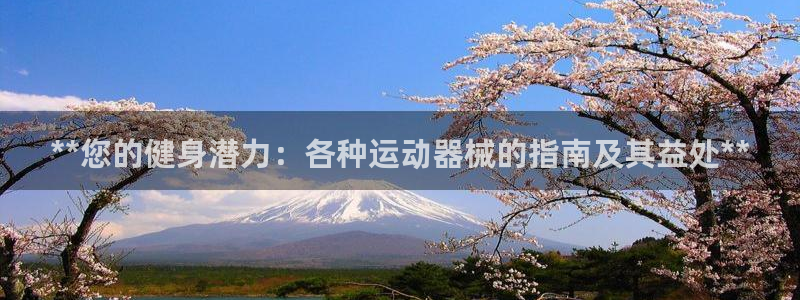 尊龙凯时福米推荐人：**您的健身潜力：各种运动器械的