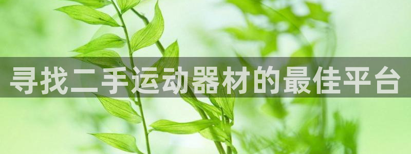 ag尊龙凯时俱乐部：寻找二手运动器材的最佳平台