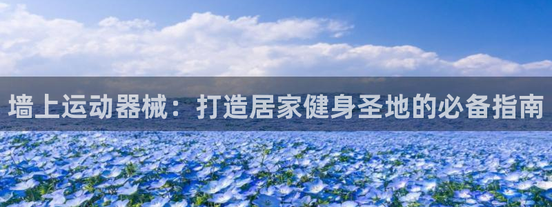 尊龙旗舰店：墙上运动器械：打造居家健身圣地的必备指南