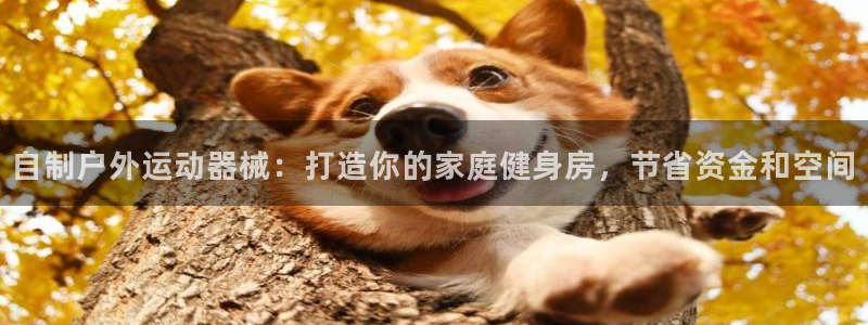 尊龙人品怎么样：自制户外运动器械：打造你的家庭健身房