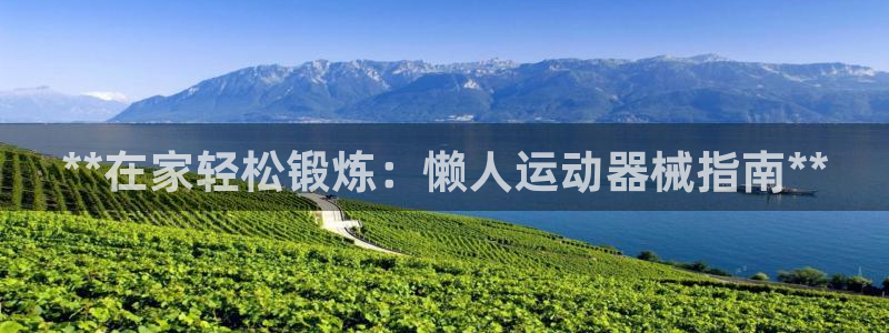 尊龙官网：**在家轻松锻炼：懒人运动器械指南**