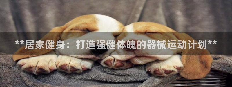 尊龙t400和尊龙t300区别：**居家健身：打造强