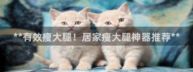 尊龙凯时logo：**有效瘦大腿！居家瘦大腿神器推荐