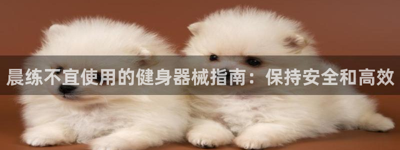 尊龙人生就是一博!：晨练不宜使用的健身器械指南：保持