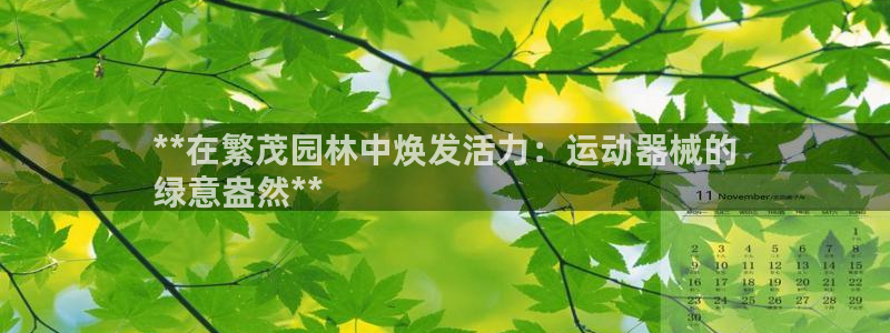 尊龙人生就是搏：**在繁茂园林中焕发活力：运动器械的
