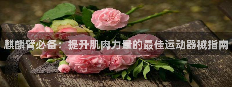 尊龙z6.con