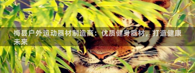 AG尊龙凯时注册：梅县户外运动器材制造商：优质健身器材，打造