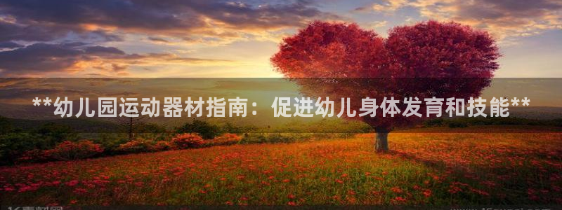 尊龙凯时怎么样没听说过：**幼儿园运动器材指南：促进