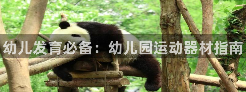尊龙长相评价