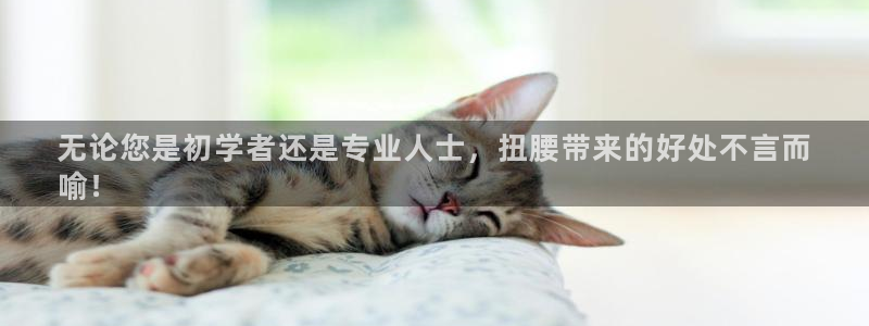 尊龙 am i blue：无论您是初学者还是专业人士
