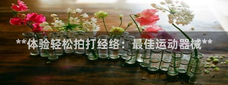 尊龙凯时网站登录：**体验轻松拍打经络：最佳运动器械