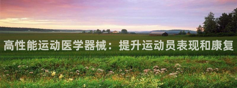 尊龙凯时赢不了：高性能运动医学器械：提升运动员表现和