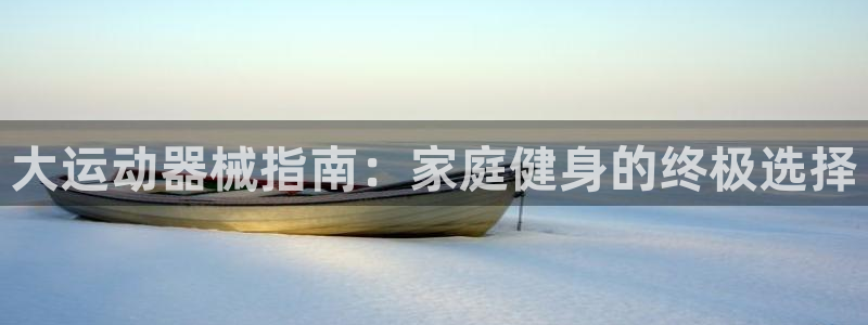 尊龙凯时取款一直支付中：大运动器械指南：家庭健身的终