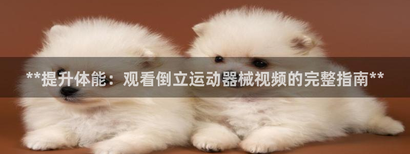 尊龙官网APP下载：**提升体能：观看倒立运动器械视