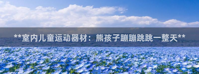 尊龙凯时网站怎么样：**室内儿童运动器材：熊孩子蹦蹦