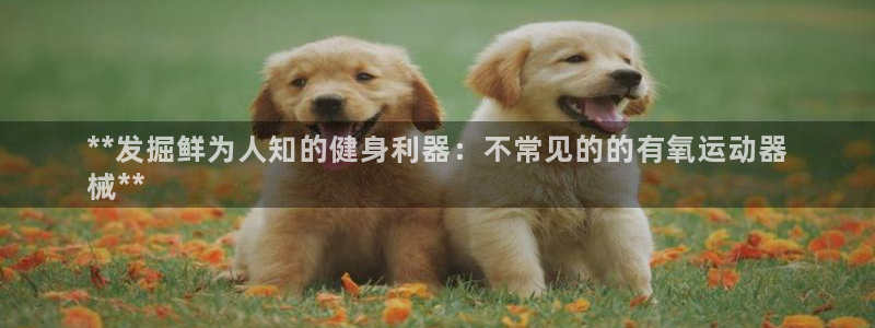 尊龙凯时v7要冲多少：**发掘鲜为人知的健身利器：不