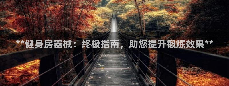 尊龙—人生就是博：**健身房器械：终极指南，助您提升