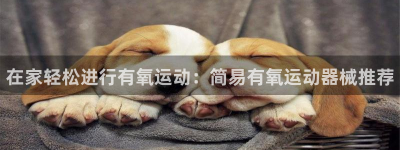 尊龙用现金娱乐一下下载旧：在家轻松进行有氧运动：简易