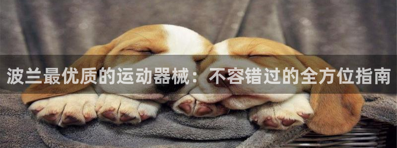 尊龙凯时俱乐部