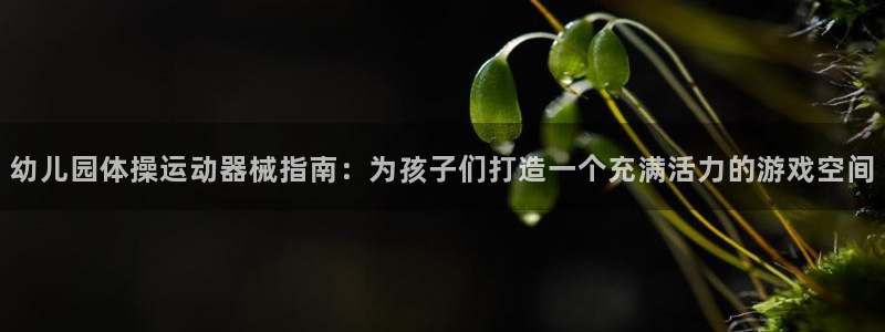 凯时首页地址：幼儿园体操运动器械指南：为孩子们打造一