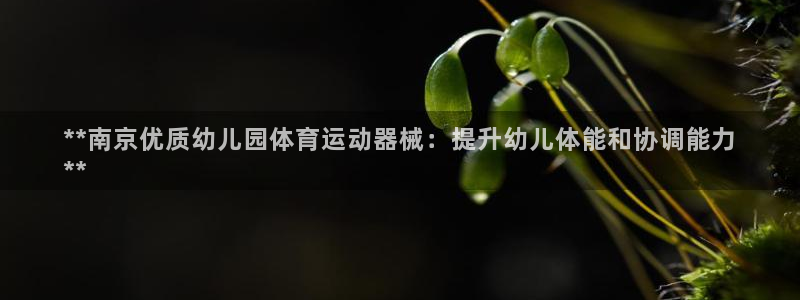 尊龙下载推荐网站：**南京优质幼儿园体育运动器械：提