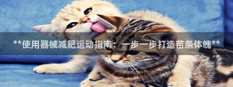 凯时app官网首页：**使用器械减肥运动指南：一步一