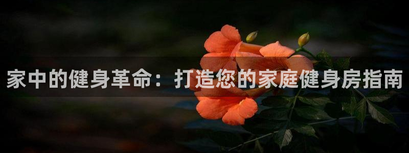 尊龙凯时产品种类