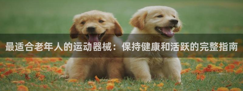 AG尊龙凯时注册：最适合老年人的运动器械：保持健康和