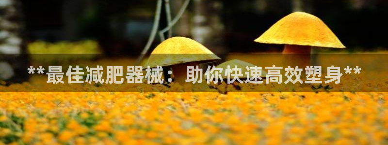 尊龙官网网页版：**最佳减肥器械：助你快速高效塑身**