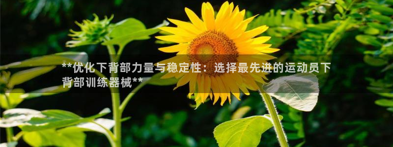 尊龙凯时法充十万返现多少