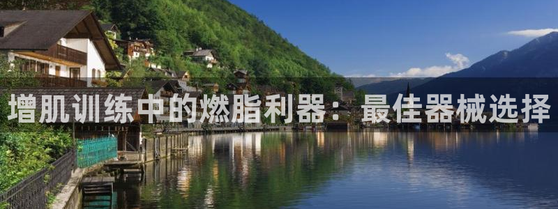 尊龙凯时：增肌训练中的燃脂利器：最佳器械选择
