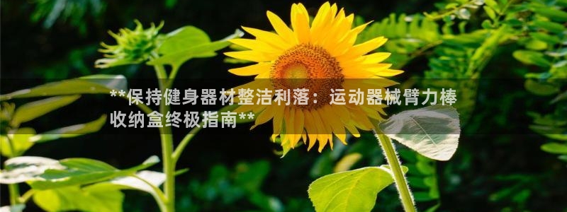 尊龙体育正规么：**保持健身器材整洁利落：运动器械臂力棒
收