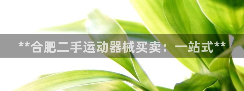 尊龙用现金一下可靠送38元：**合肥二手运动器械买卖