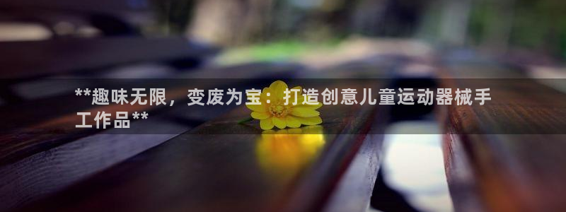 凯时平台app：**趣味无限，变废为宝：打造创意儿童