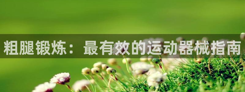 尊龙网站手机下载：粗腿锻炼：最有效的运动器械指南