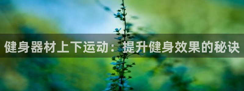 尊龙手机官方客户端下载：健身器材上下运动：提升健身效