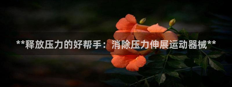 尊龙凯时捕鱼游戏能玩吗：**释放压力的好帮手：消除压