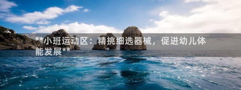 尊龙新版手机app下载：**小班运动区：精挑细选器械