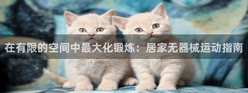 尊龙集团官网：在有限的空间中最大化锻炼：居家无器械运