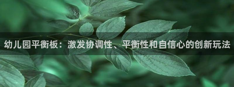 尊龙集团有限公司地址：幼儿园平衡板：激发协调性、平衡