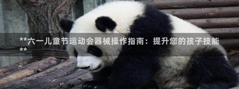 尊龙负面新闻：**六一儿童节运动会器械操作指南：提升