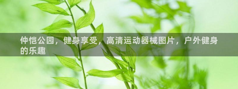 尊龙凯时平台官网：仲恺公园，健身享受，高清运动器械图