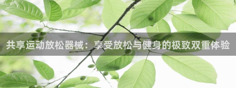 尊龙凯时-人生就是博中国官网：共享运动放松器械：享受