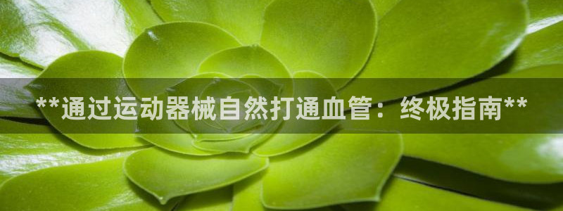 尊龙凯时官方网页：**通过运动器械自然打通血管：终极