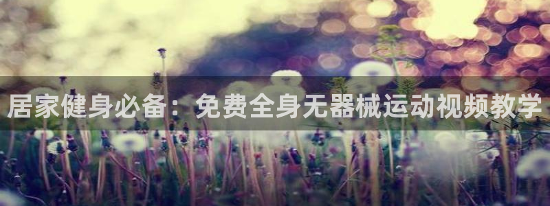 尊龙人生就是一博!：居家健身必备：免费全身无器械运动