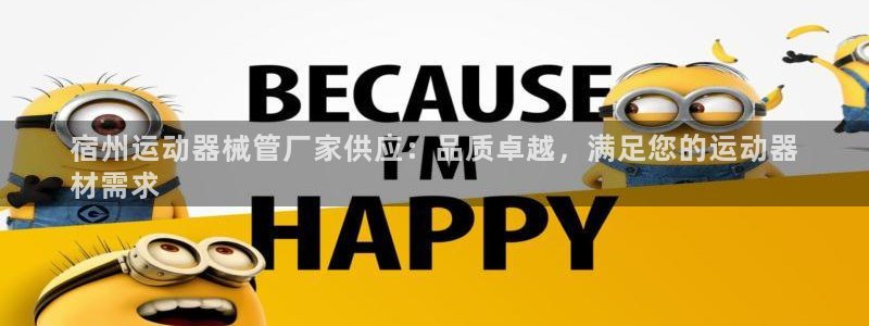 尊龙d88官网so问来就送38：宿州运动器械管厂家供