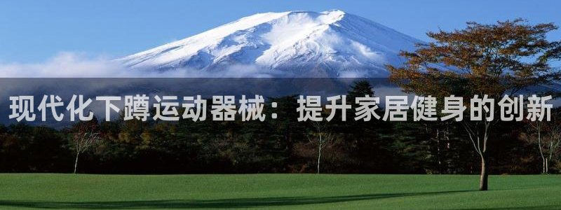 尊龙凯时官网版登录：现代化下蹲运动器械：提升家居健身