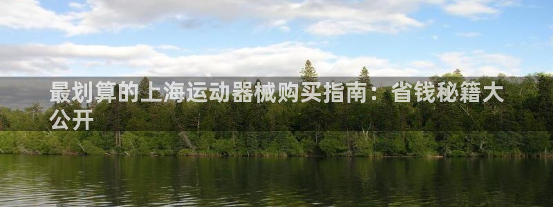 尊龙人生就是博旗舰厅：最划算的上海运动器械购买指南：