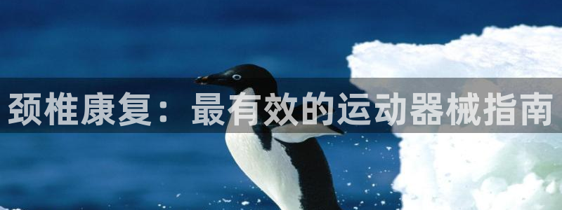 尊龙人生就是博i可靠吗：颈椎康复：最有效的运动器械指